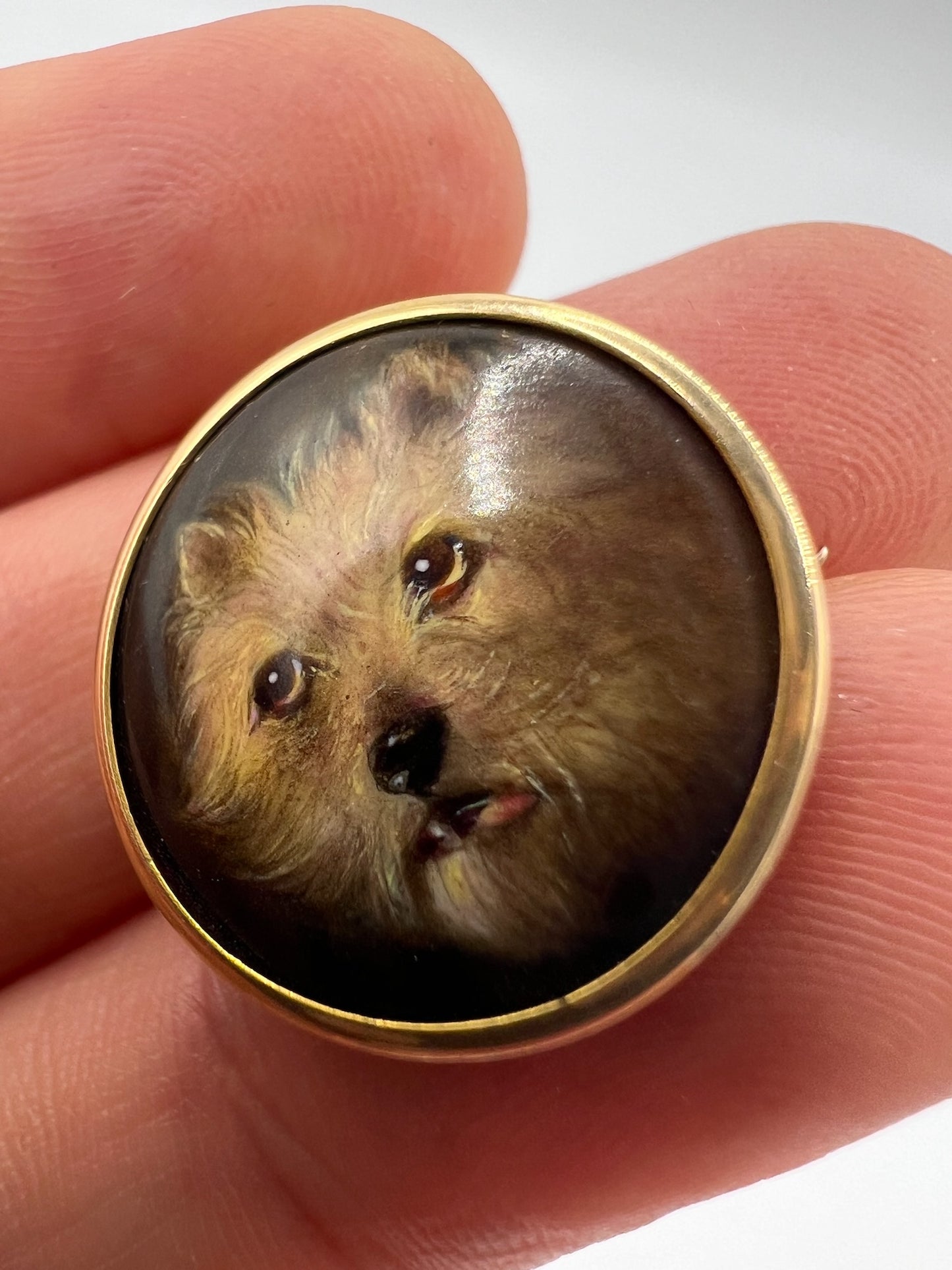 RESERVED DONT BUY William Essex Victorian Painted Porcelain Gold Terrier Dog Brooch of "Essex Crystal" Fame