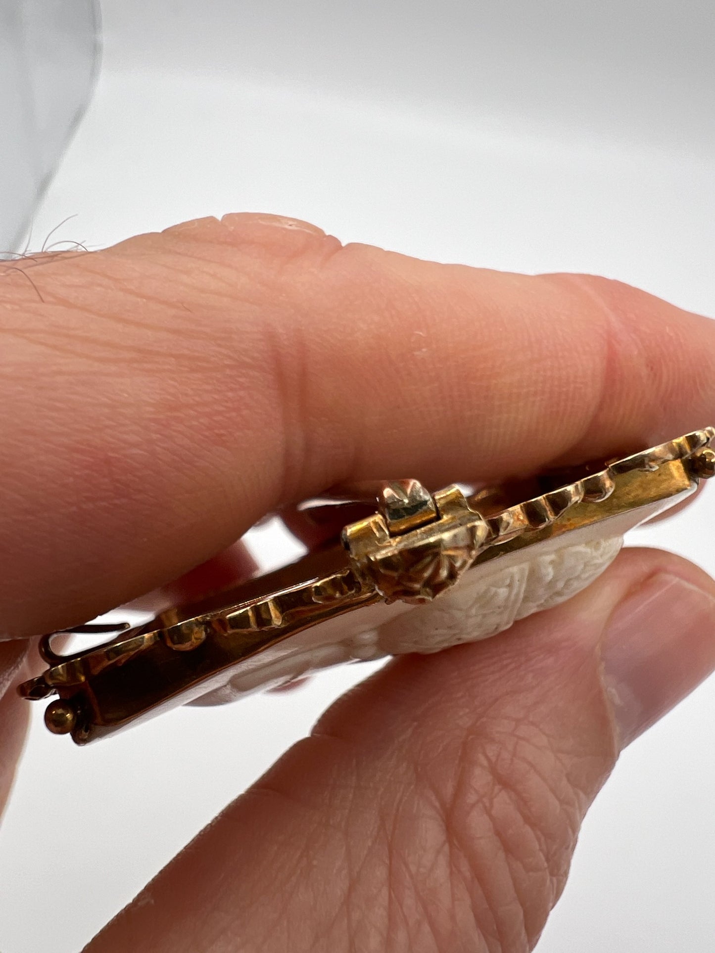 Unusual Shell Cameo Brooch in Gold Frame
