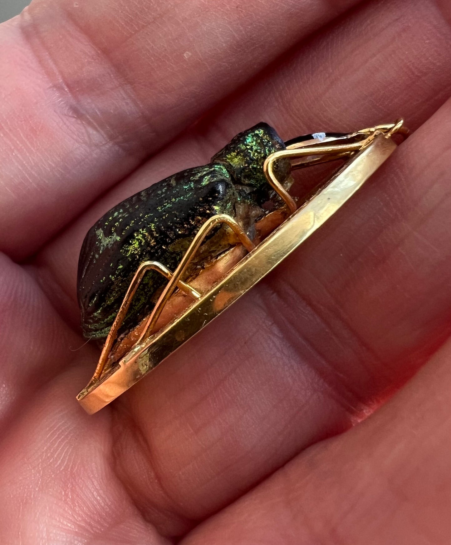 Victorian Gold Real Mounted Beetle Bug Pendant