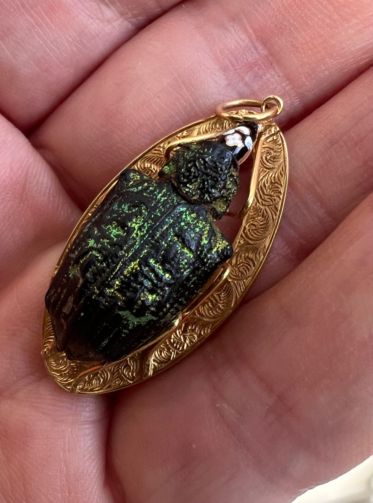 Victorian Gold Real Mounted Beetle Bug Pendant
