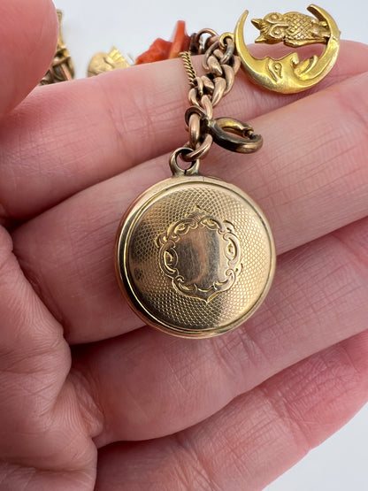 Gold Charm Bracelet With Many Unusual and Rare Charms