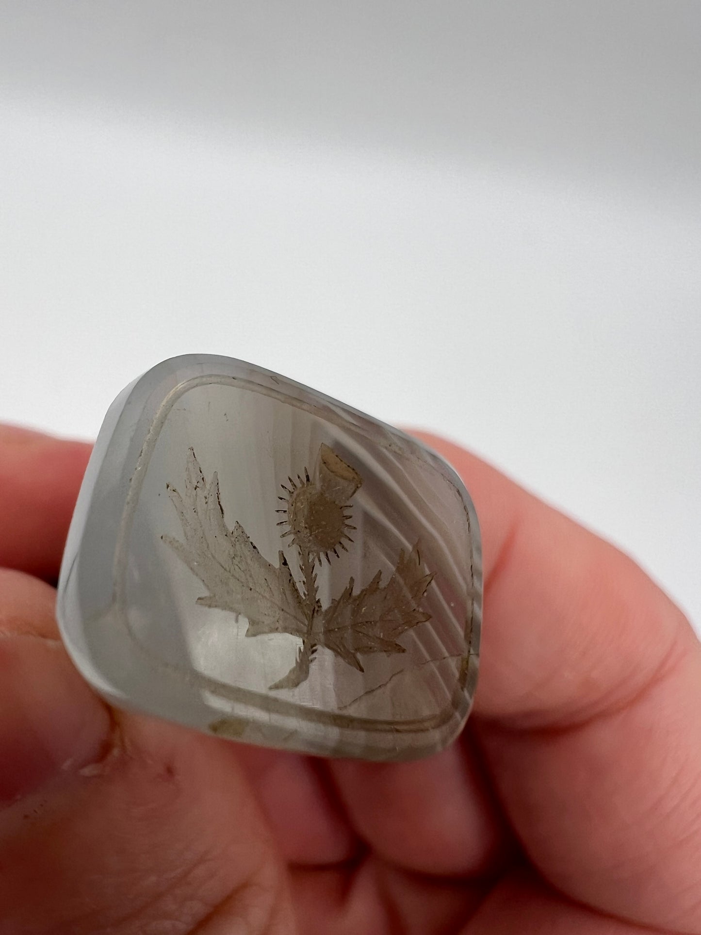 Cute Victorian Montrose Agate & Gold Sottish Thistle Intaglio Fob