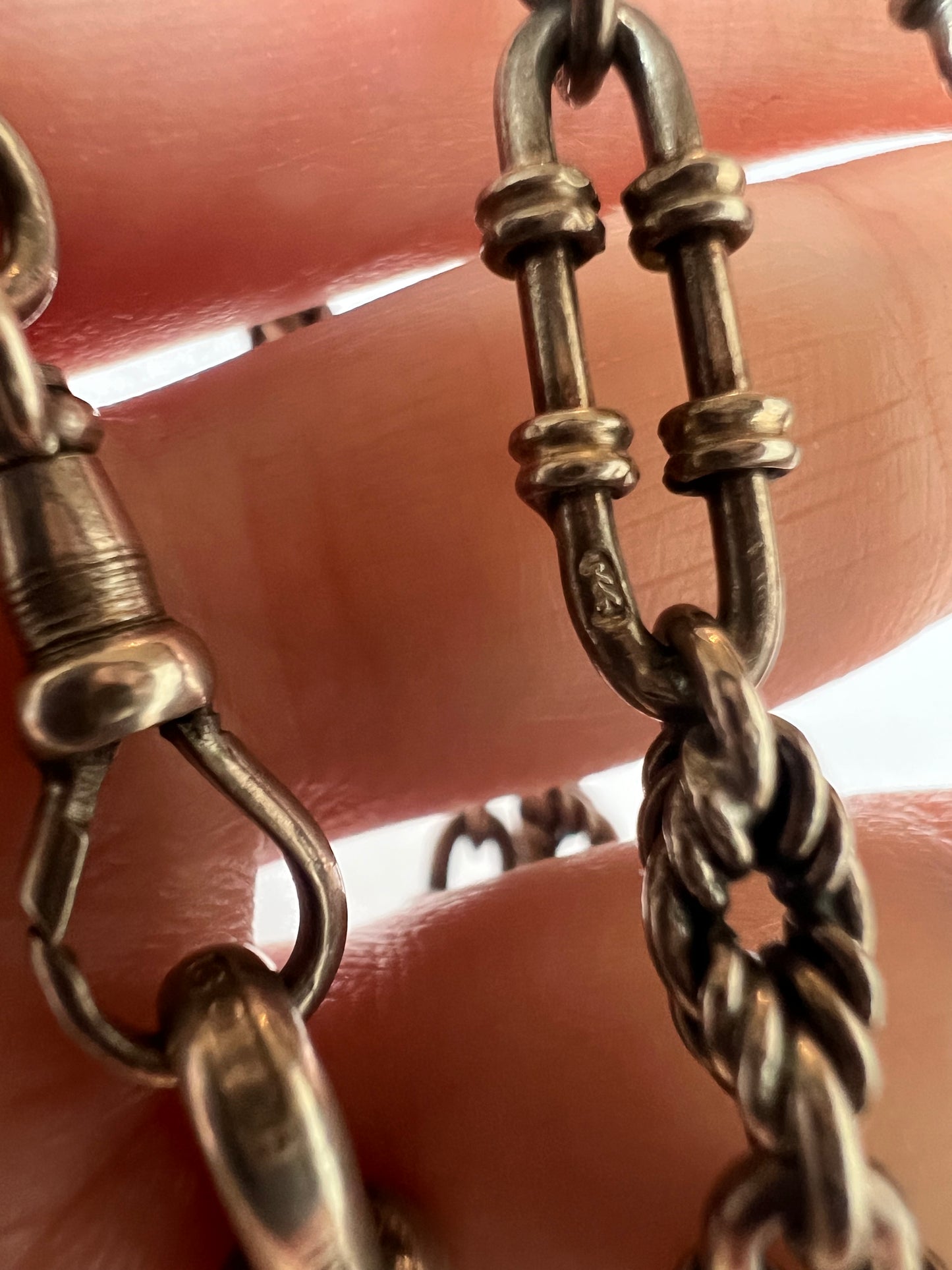 Victorian Fancy Trombone Fetter Link Silver Collar Choker Chain