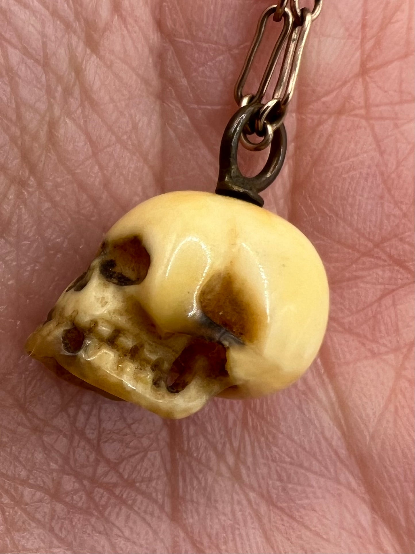 Japanese Antique Skull Charm On 9ct Gold Fetter Link Chain