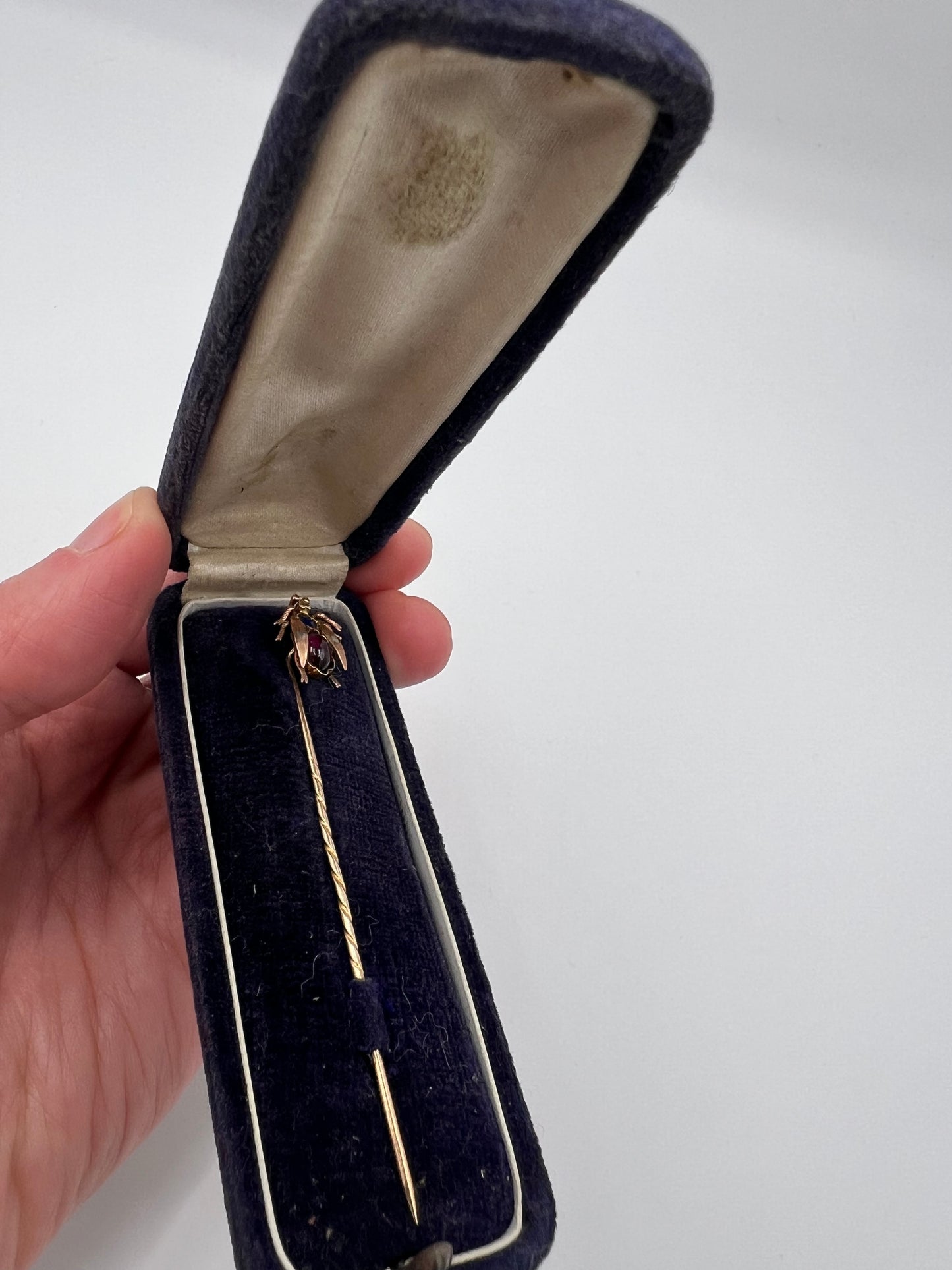 Velvet Boxed Victorian Fly Gold Sapphire Garnet Stick Pin