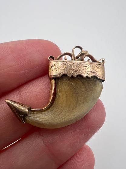 British Raj Victorian Gold Mounted Taxidermy Tiger Claw Trophy Pendant