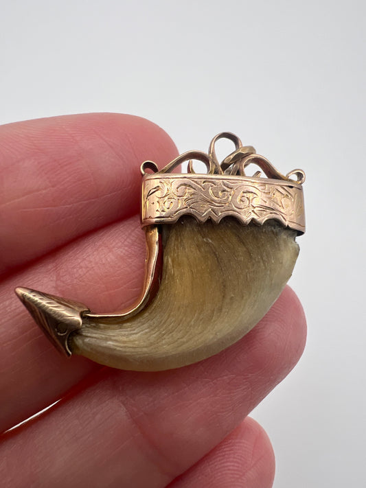 British Raj Victorian Gold Mounted Taxidermy Tiger Claw Trophy Pendant
