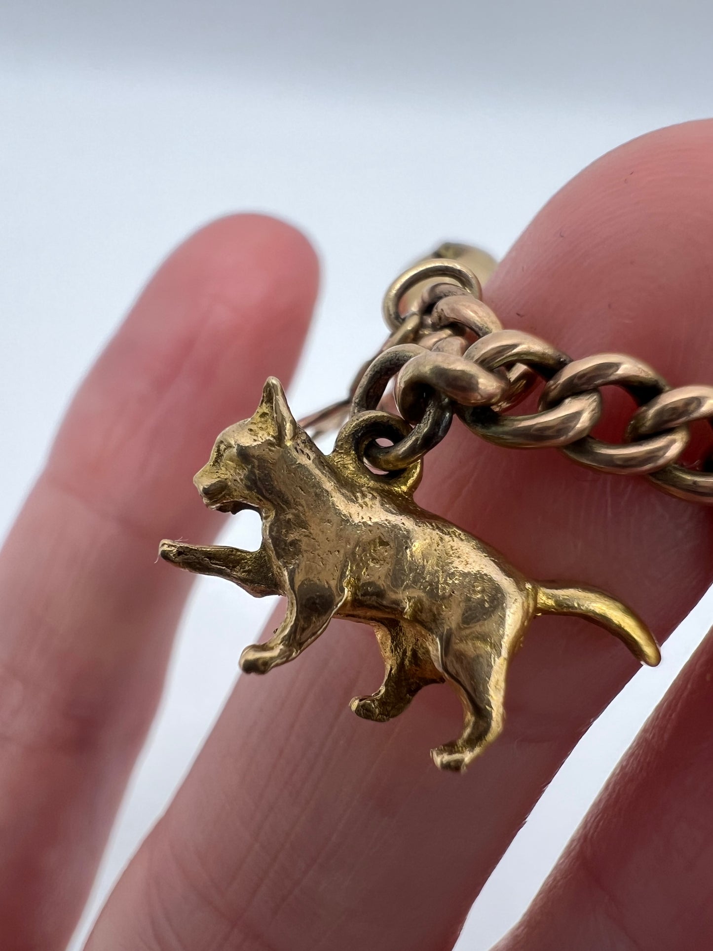Gold Charm Bracelet With Many Unusual and Rare Charms