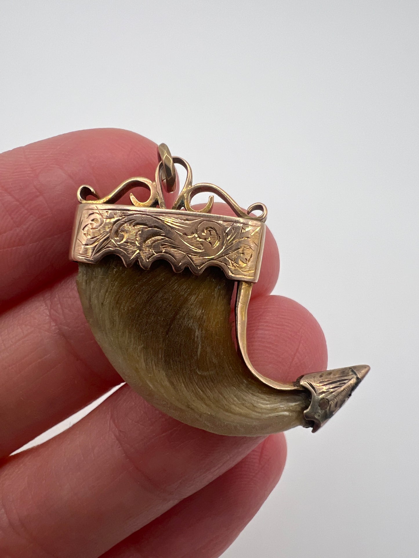 British Raj Victorian Gold Mounted Taxidermy Tiger Claw Trophy Pendant