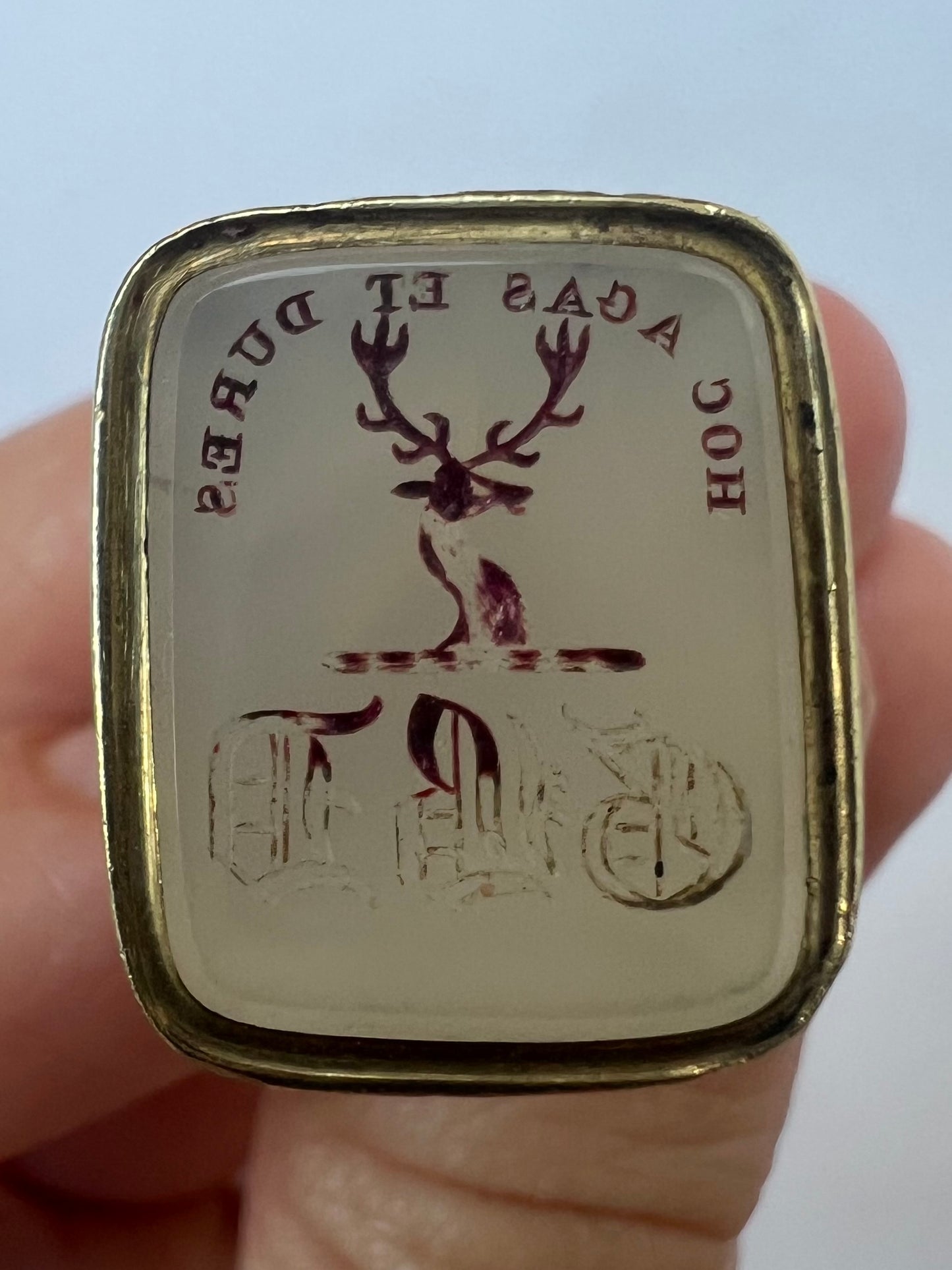Early Victorian Gold Cased Watch Fob Pendant With Carved Stag Intaglio