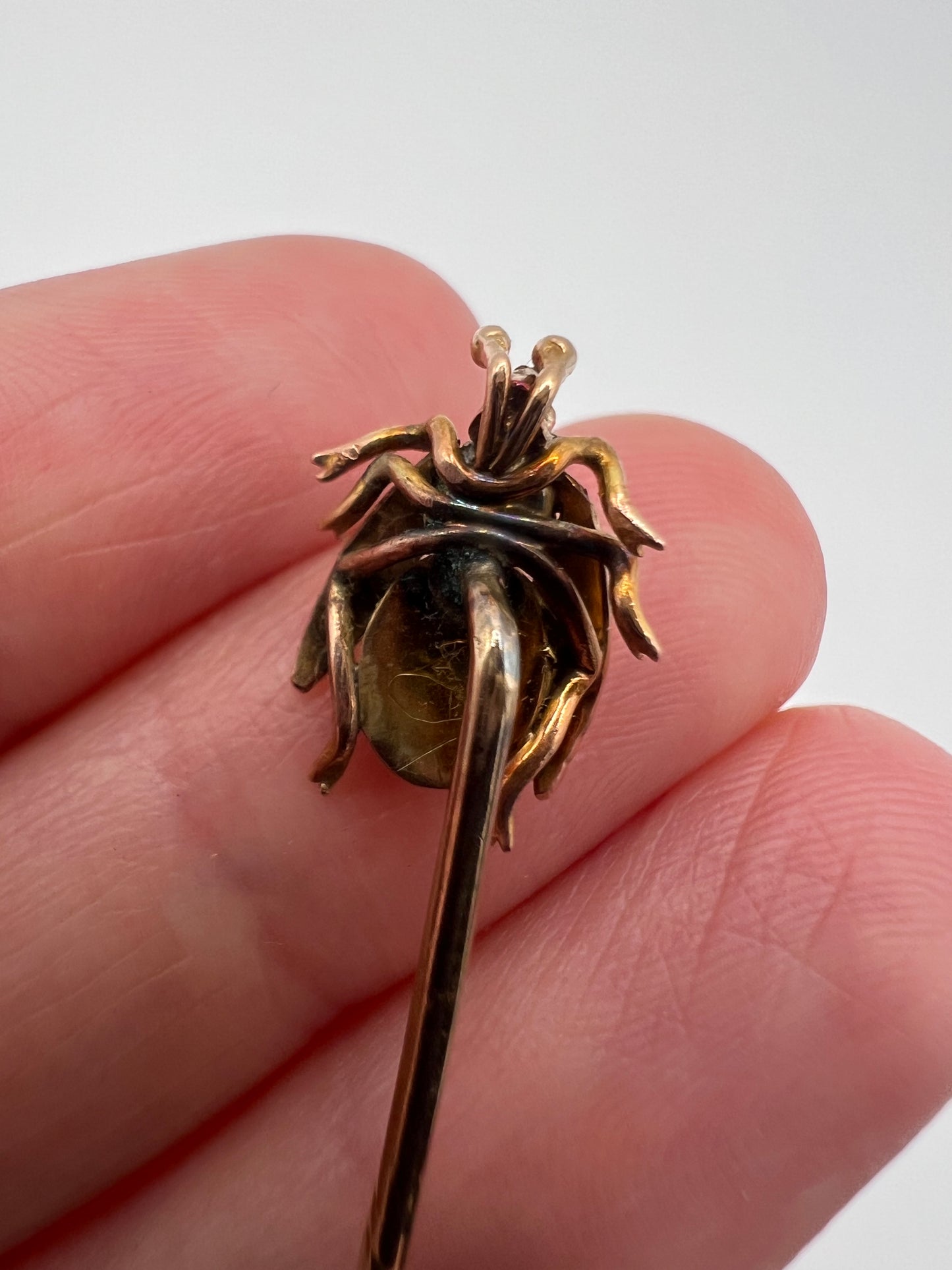 Velvet Boxed Victorian Fly Gold Sapphire Garnet Stick Pin