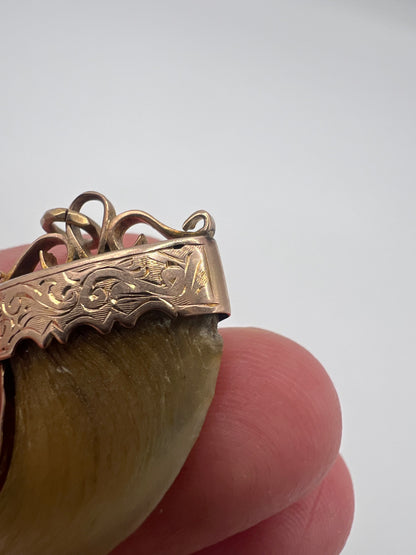 British Raj Victorian Gold Mounted Taxidermy Tiger Claw Trophy Pendant