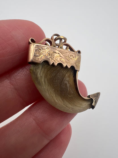 British Raj Victorian Gold Mounted Taxidermy Tiger Claw Trophy Pendant