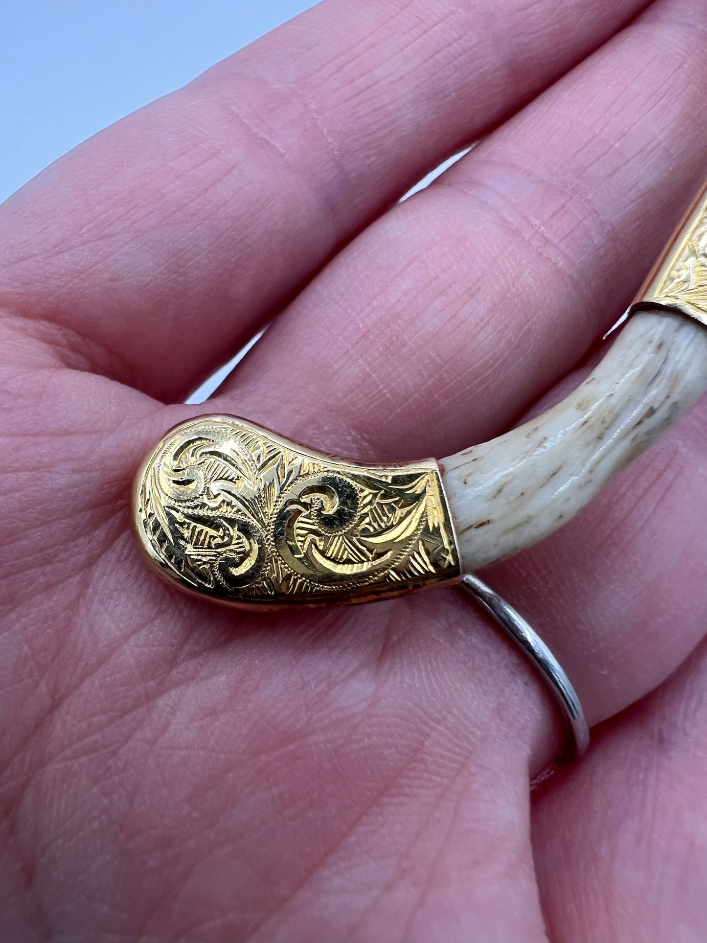 Victorian Tiger Clavicle Bone Gold Mounted Brooch