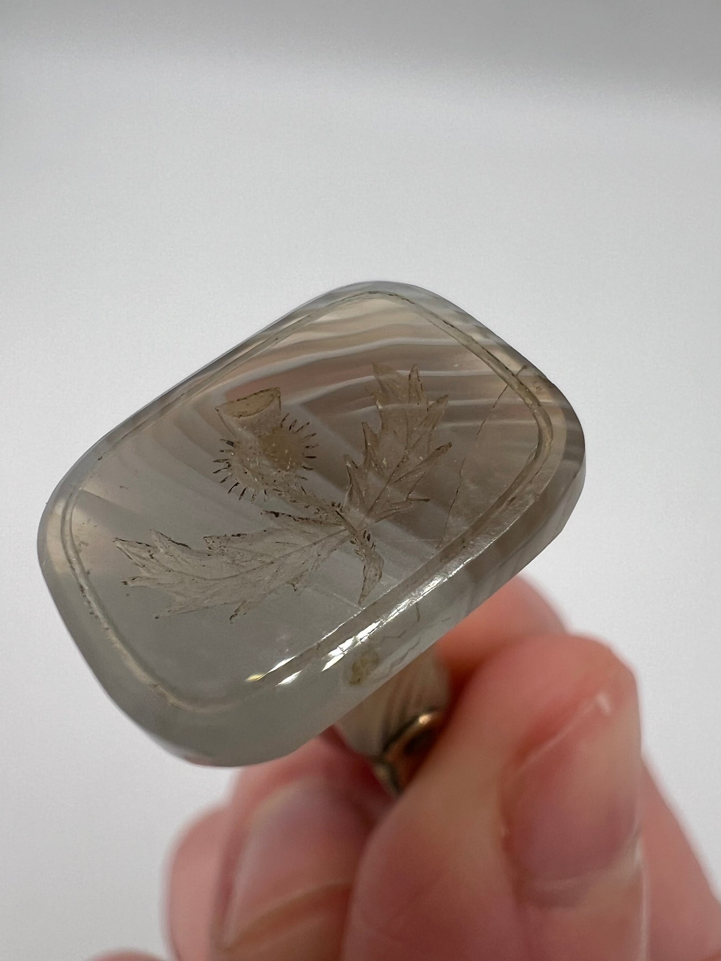 Cute Victorian Montrose Agate & Gold Sottish Thistle Intaglio Fob