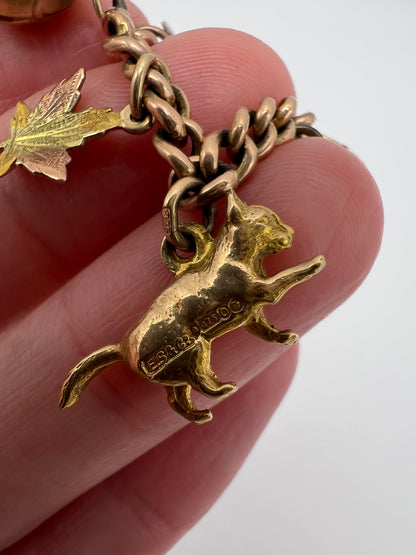 Gold Charm Bracelet With Many Unusual and Rare Charms
