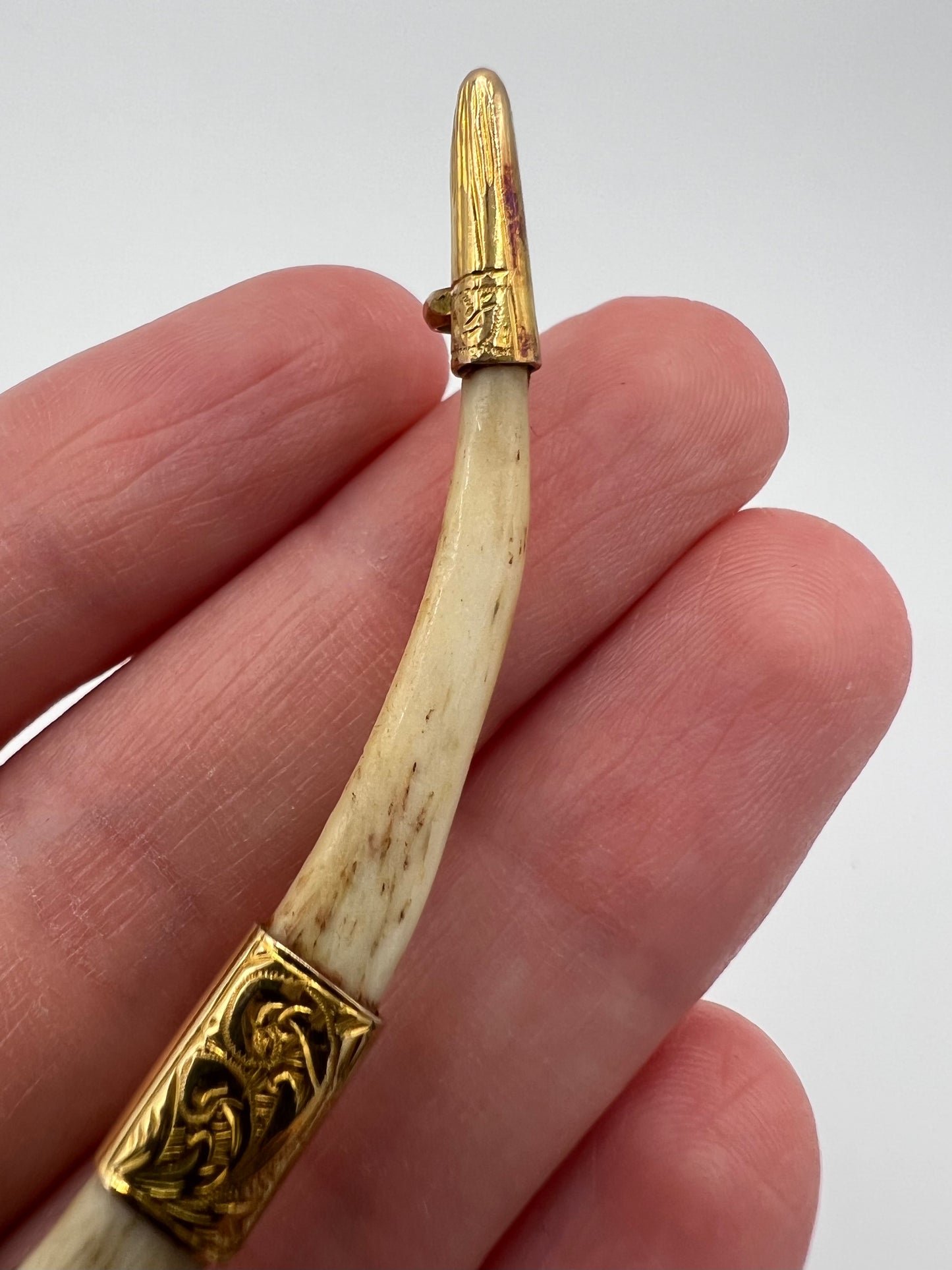 Victorian Tiger Clavicle Bone Gold Mounted Brooch
