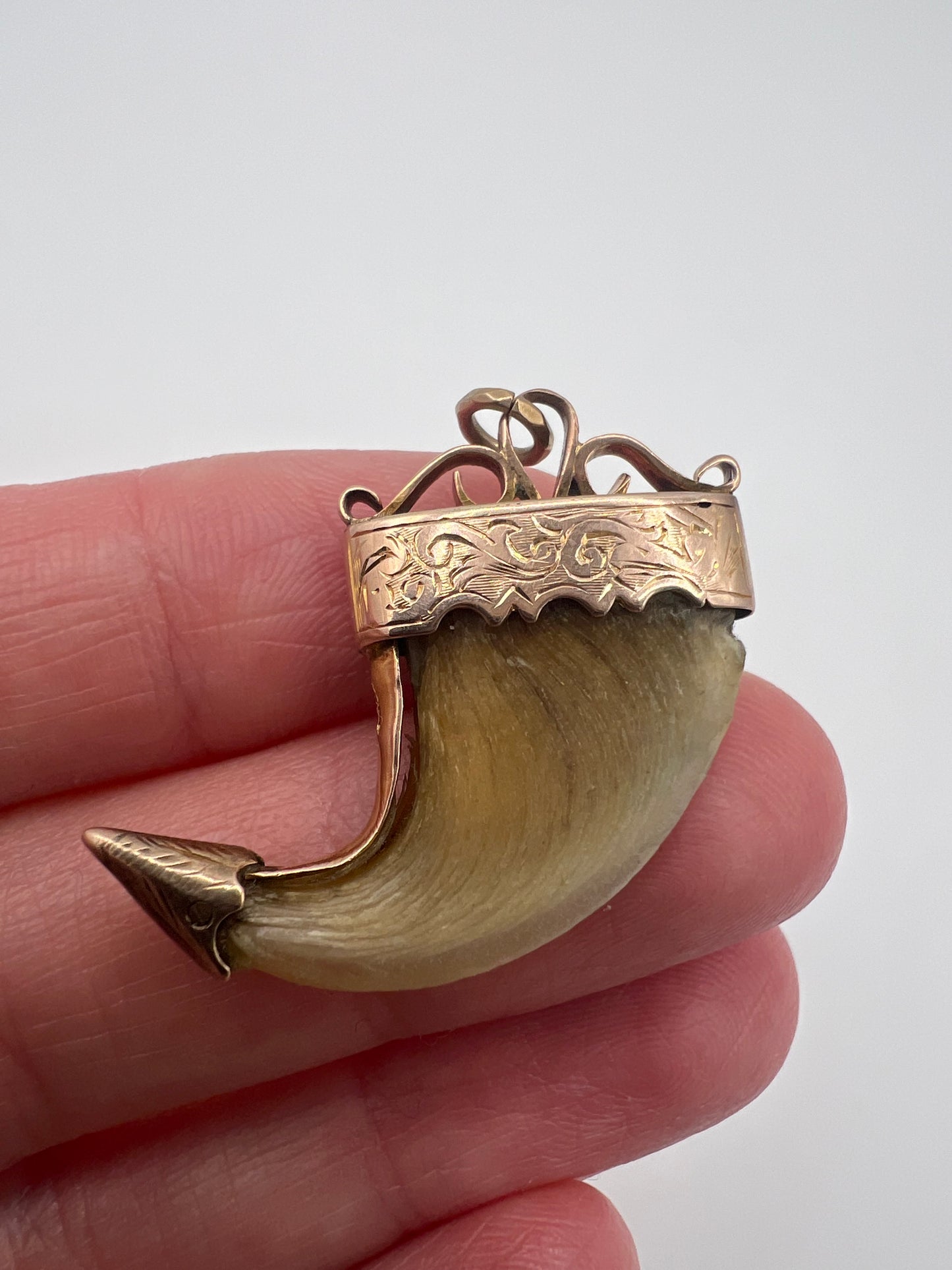 British Raj Victorian Gold Mounted Taxidermy Tiger Claw Trophy Pendant