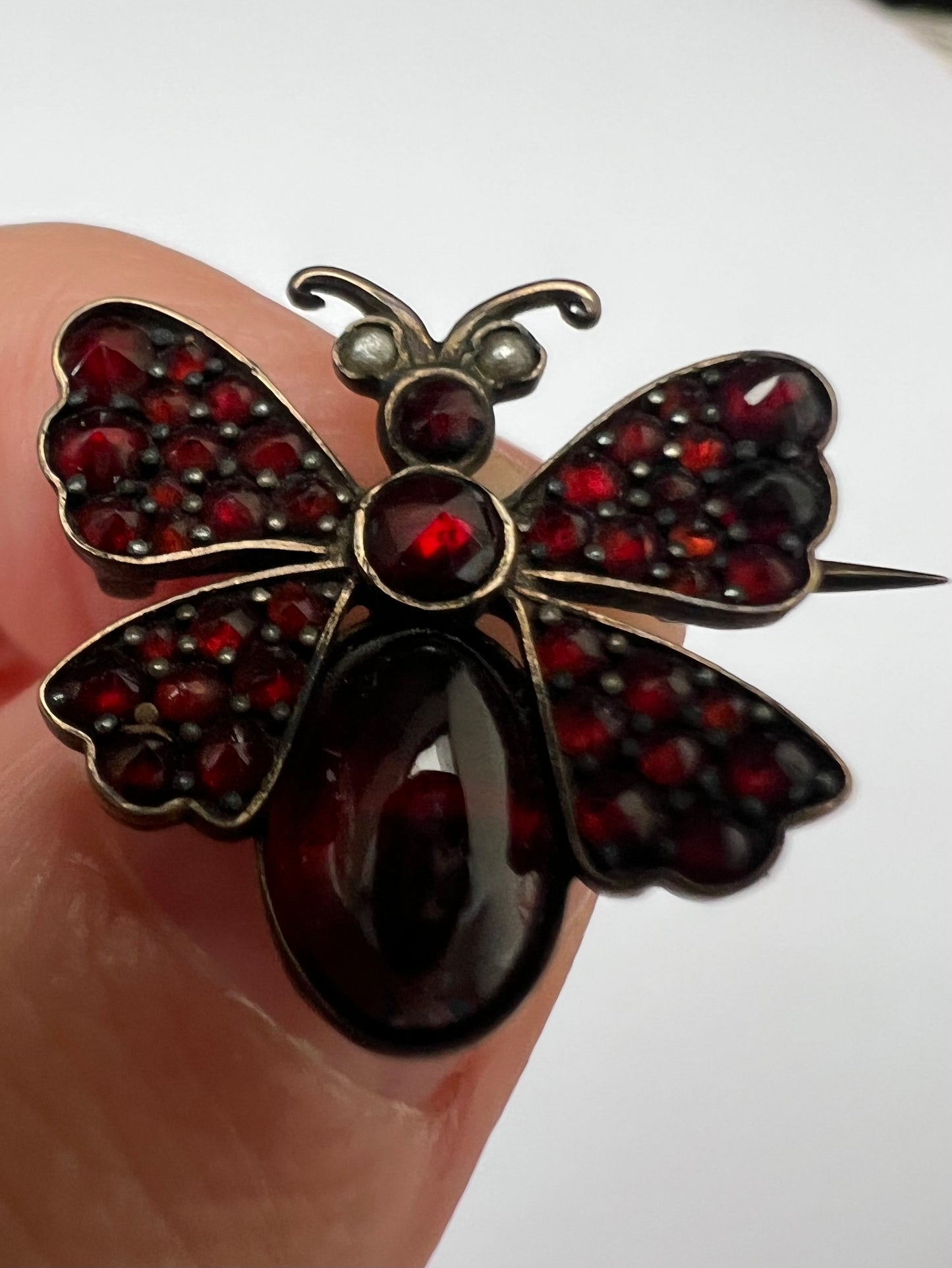 Georgian Garnet Butterfly Brooch Pin