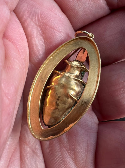 Victorian Gold Real Mounted Beetle Bug Pendant