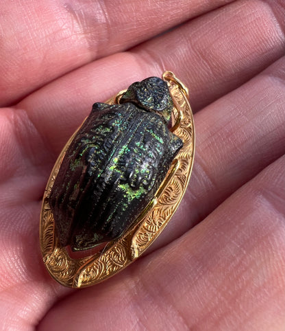 Victorian Gold Real Mounted Beetle Bug Pendant