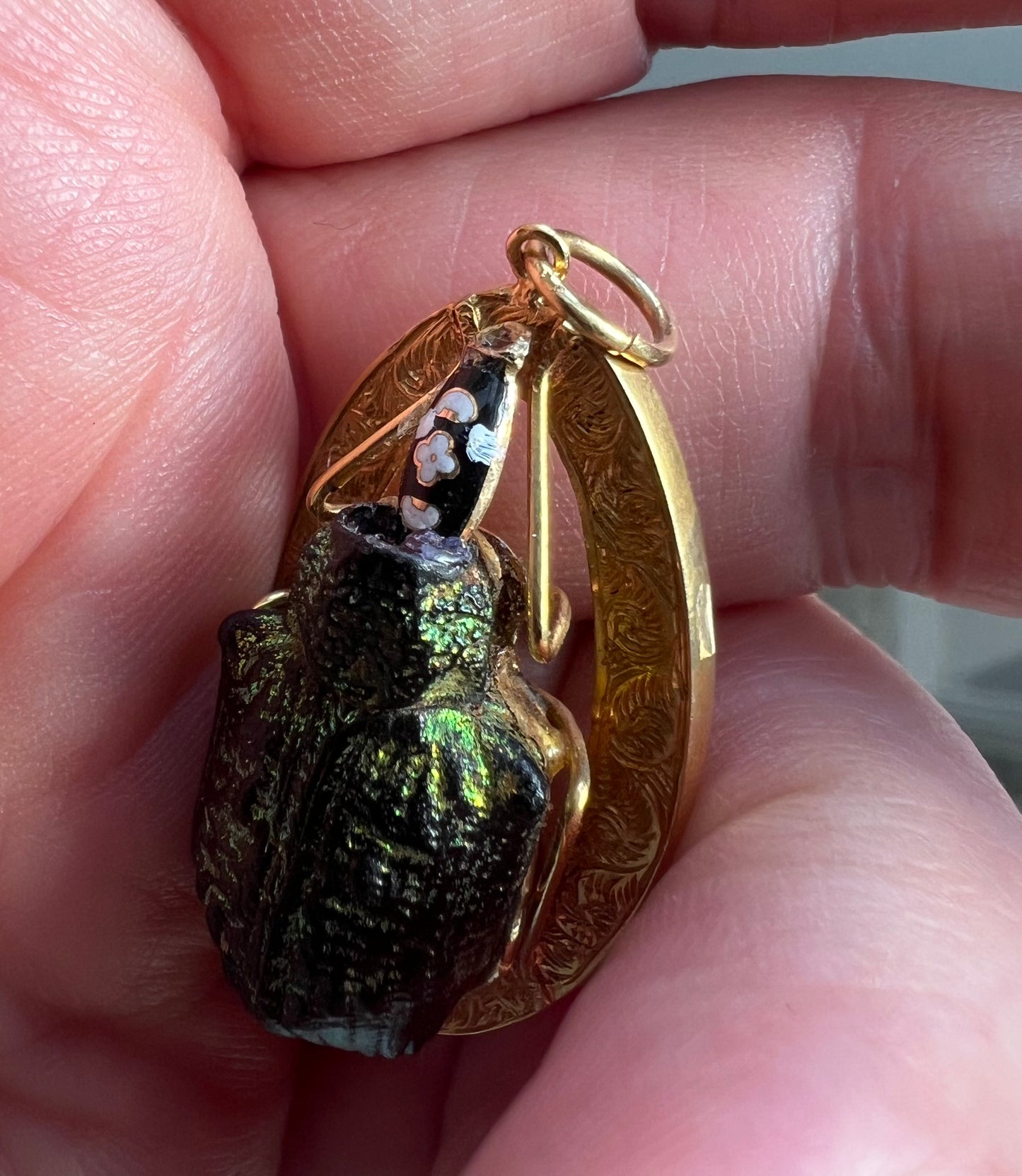 Victorian Gold Real Mounted Beetle Bug Pendant