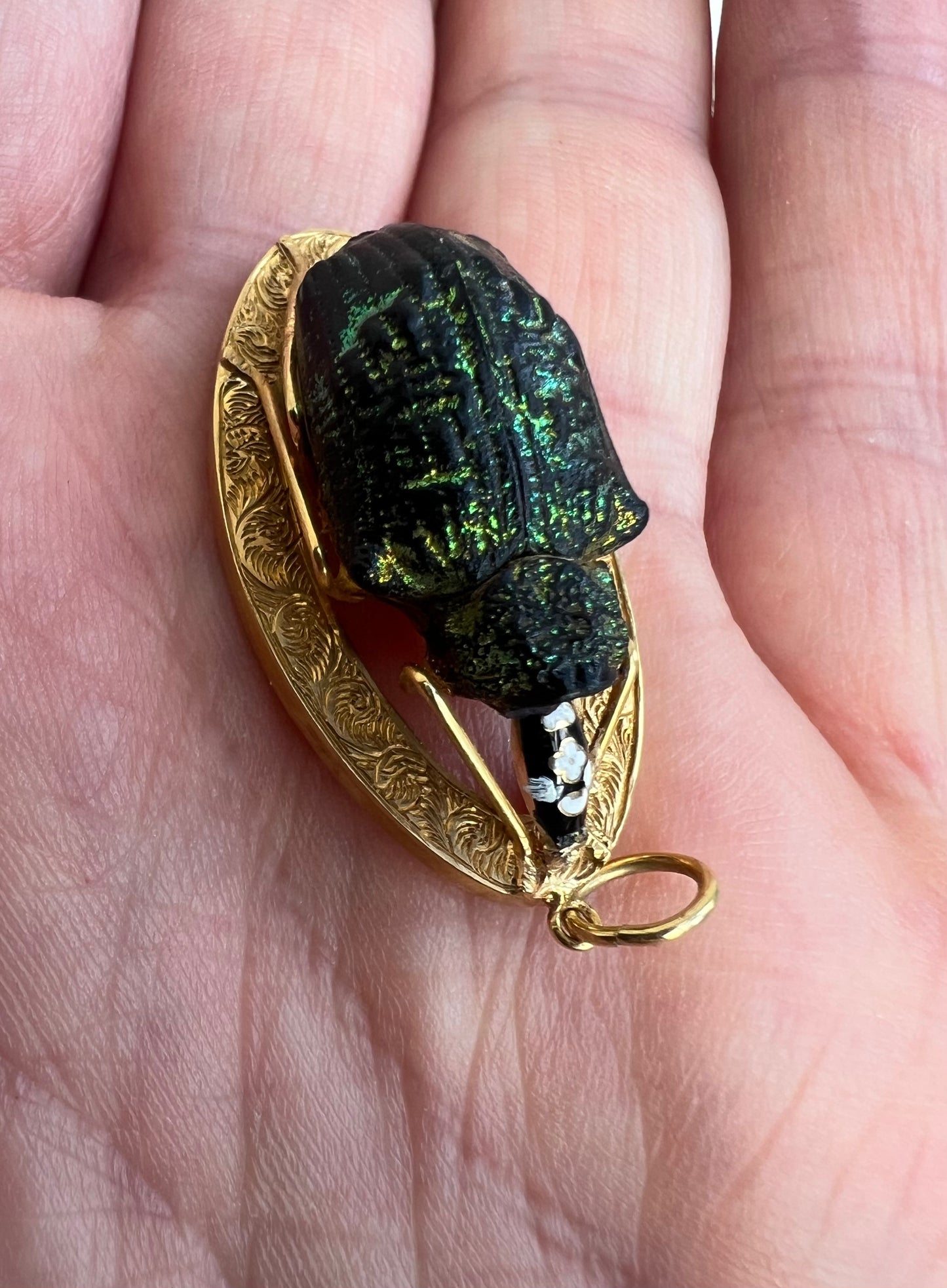 Victorian Gold Real Mounted Beetle Bug Pendant