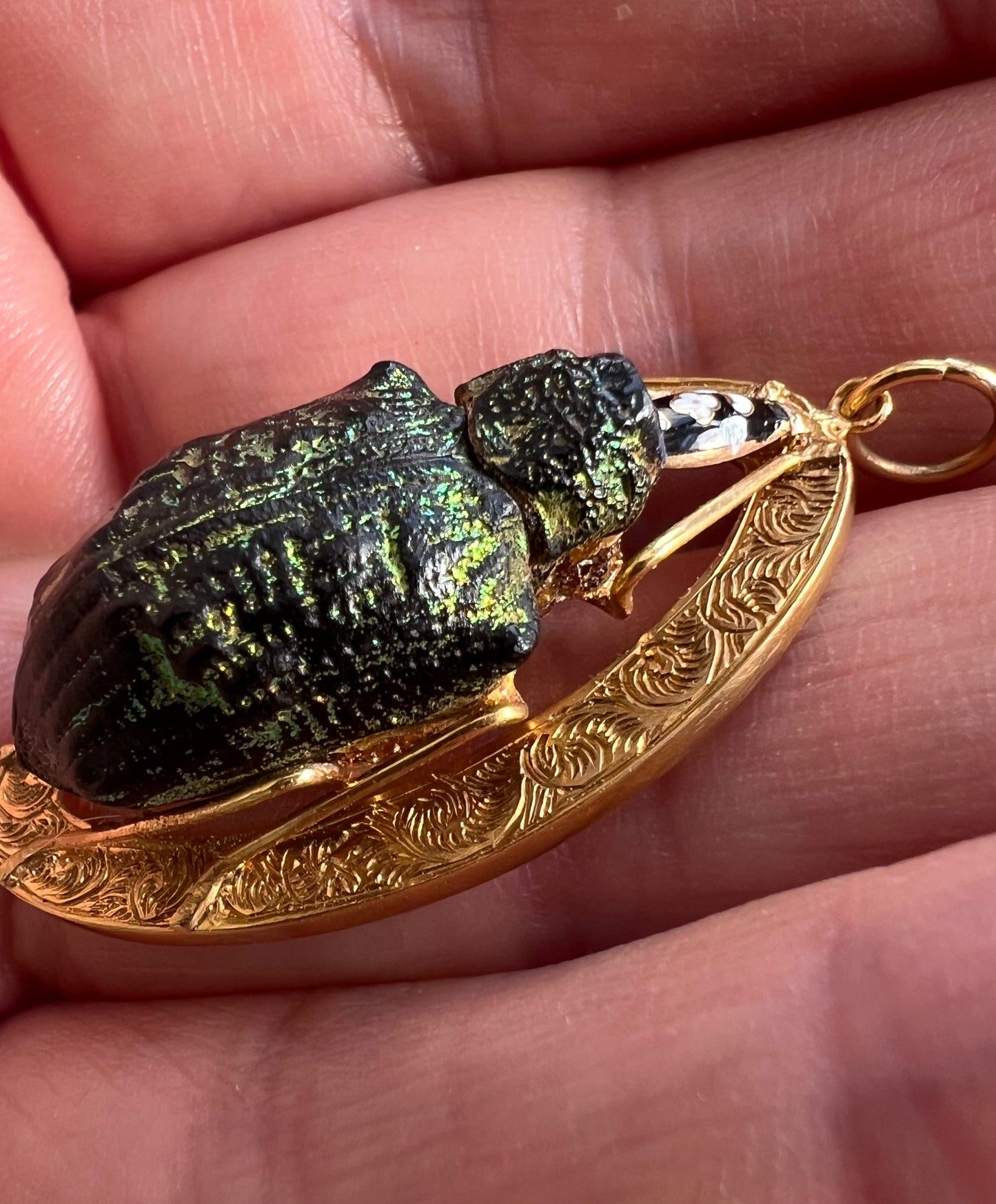 Victorian Gold Real Mounted Beetle Bug Pendant