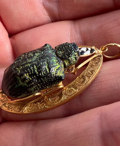 Victorian Gold Real Mounted Beetle Bug Pendant