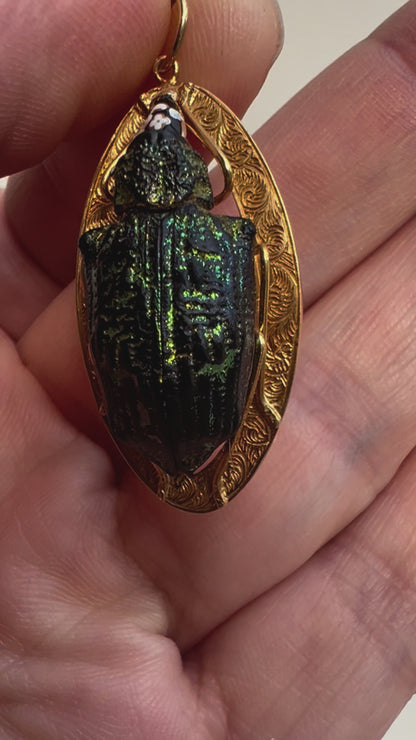 Victorian Gold Real Mounted Beetle Bug Pendant